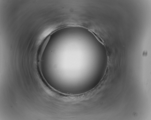 X0000091300005200708172218