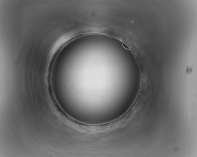 X0000091300006200708172218