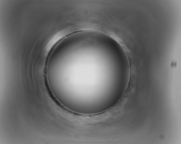 X0000091300007200708172218