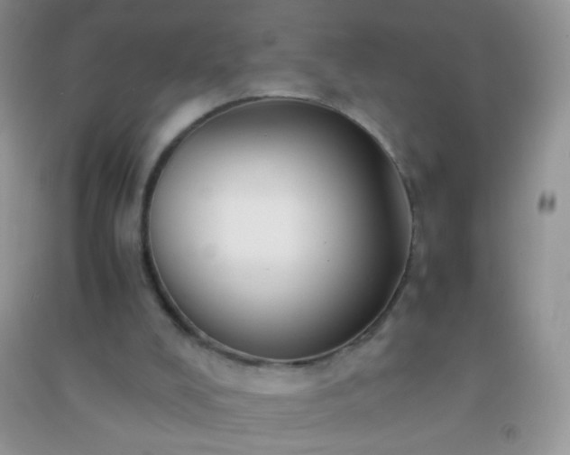 X0000091300008200708172218