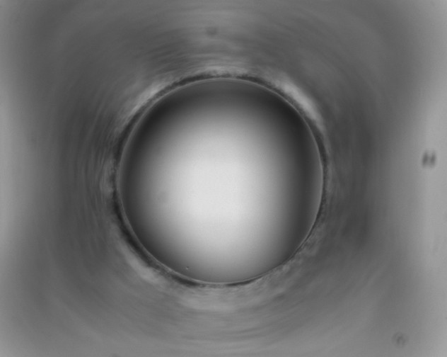 X0000091300009200708172218