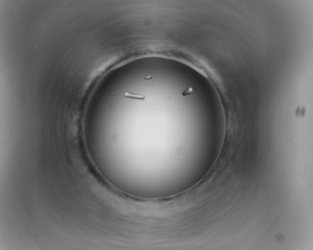 X0000091300010200708172218