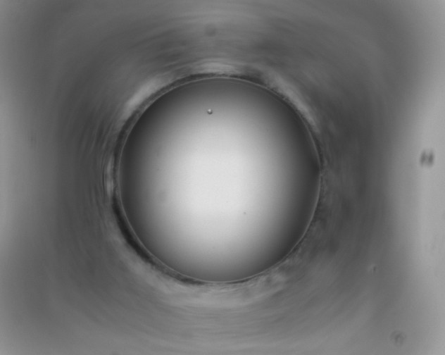 X0000091300011200708172218