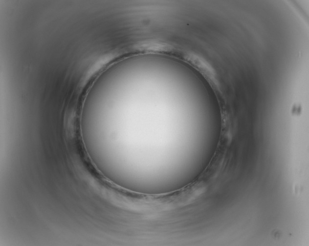 X0000091300012200708172218