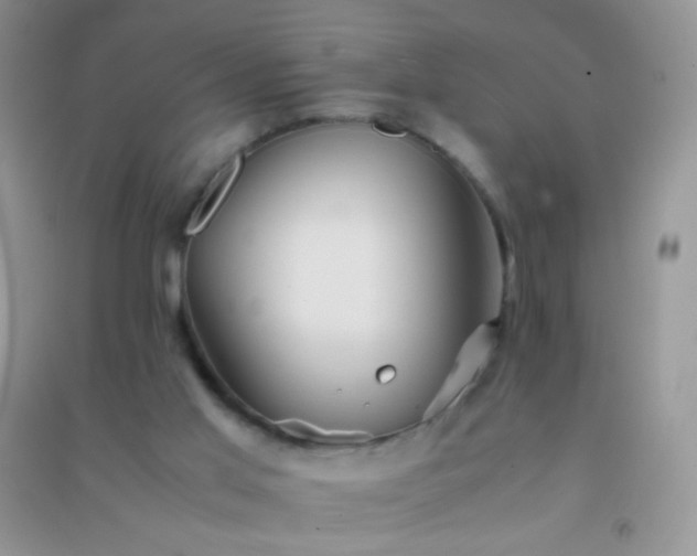 X0000091300013200708172218