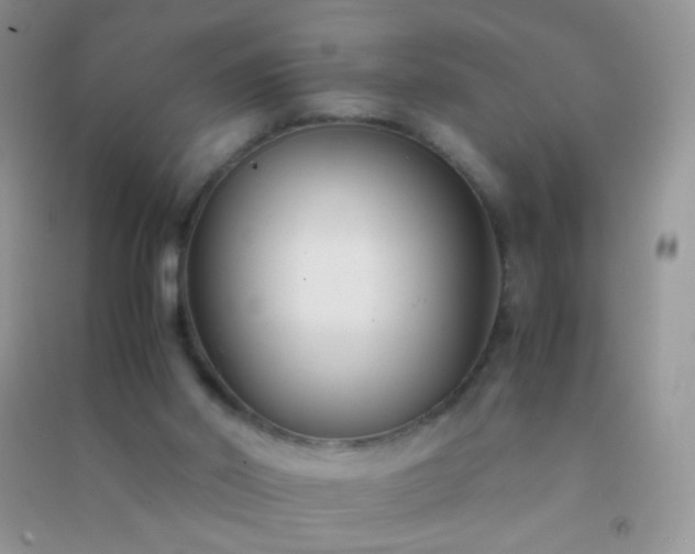 X0000091300014200708172218