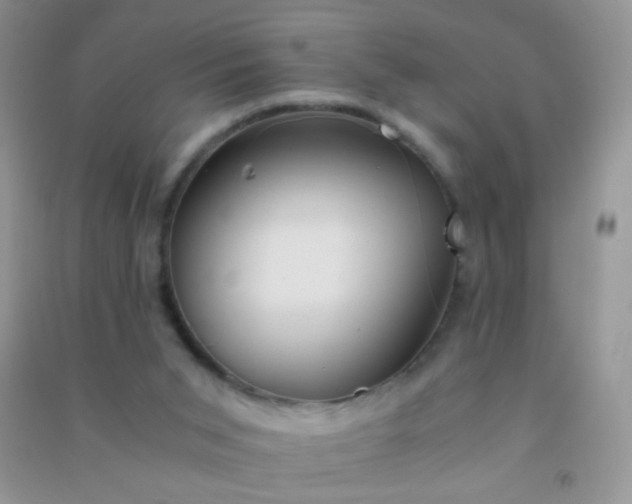 X0000091300015200708172218