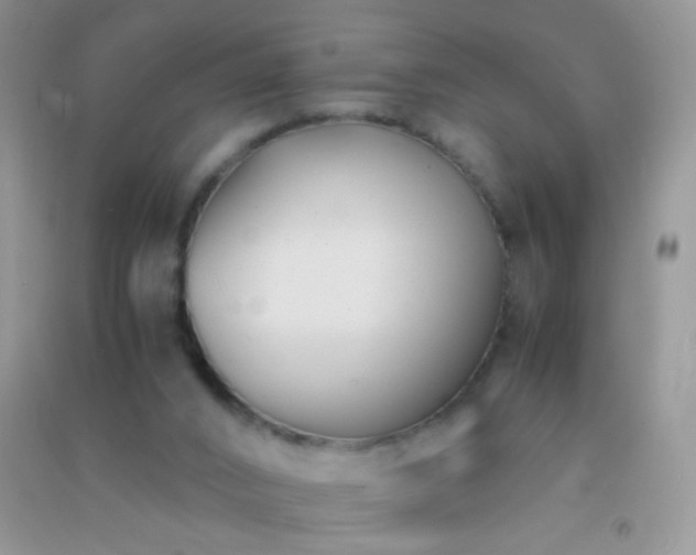 X0000091300016200708172218