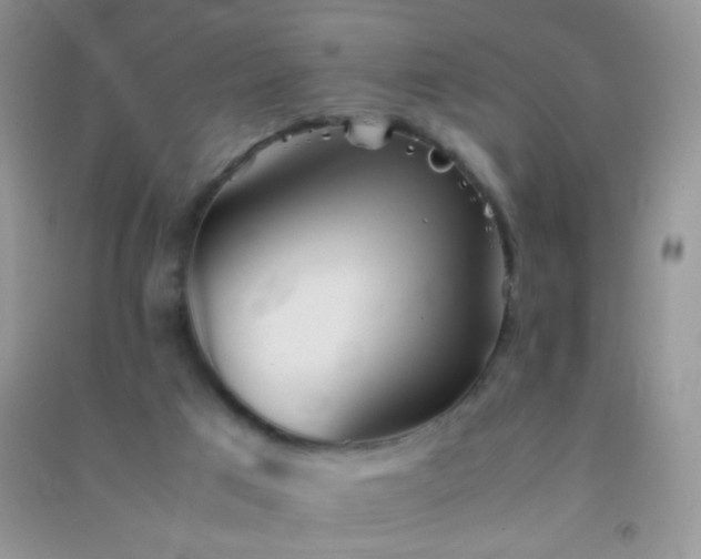 X0000091300017200708172217