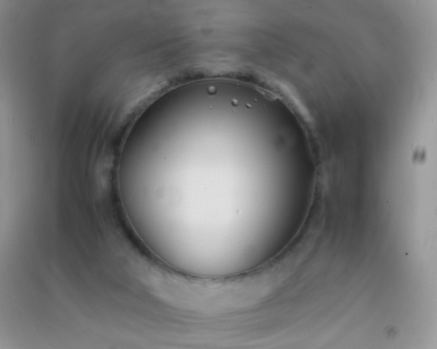 X0000091300018200708172217