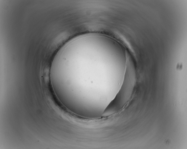 X0000091300019200708172217