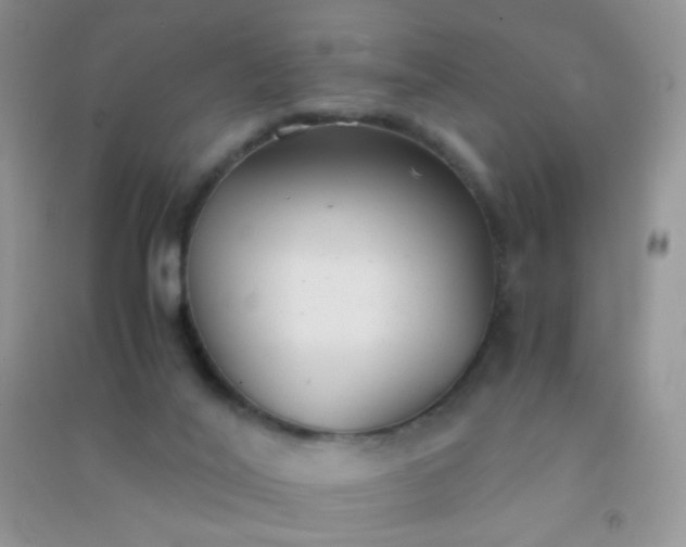 X0000091300020200708172217