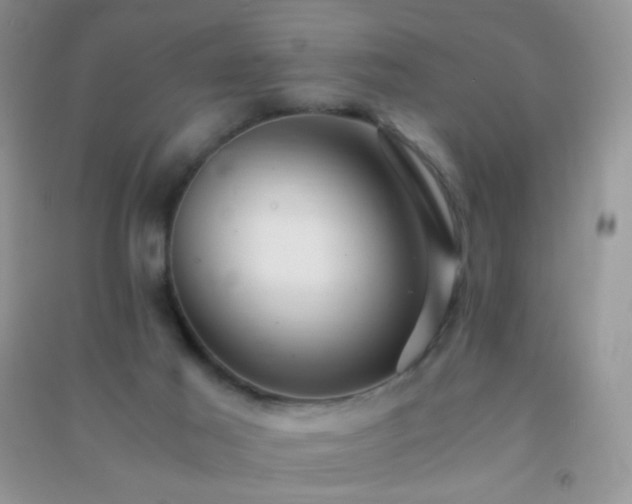 X0000091300021200708172217