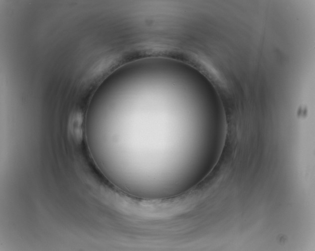 X0000091300022200708172217