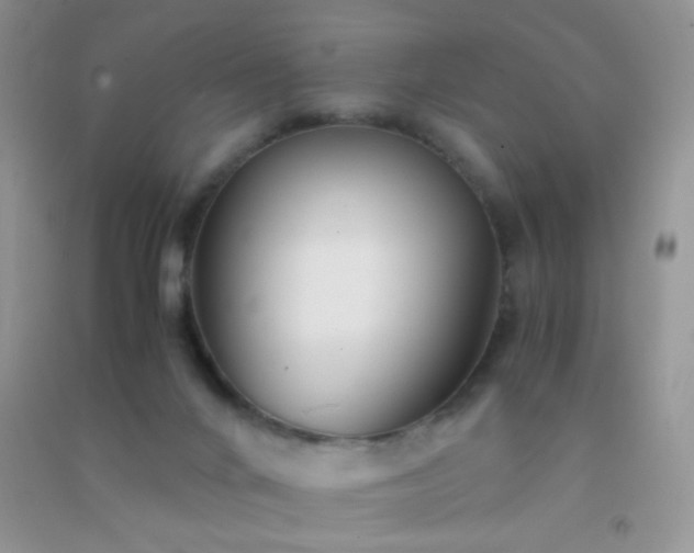 X0000091300024200708172217