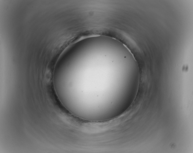 X0000091300025200708172217