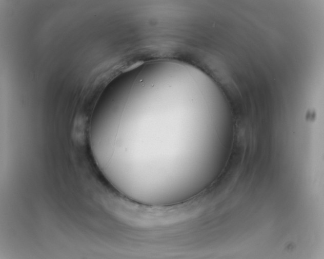 X0000091300026200708172217