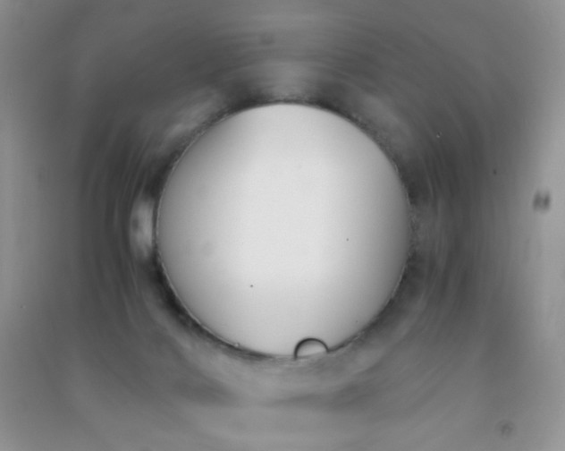 X0000091300028200708172217