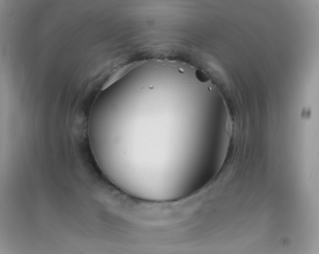 X0000091300029200708172217