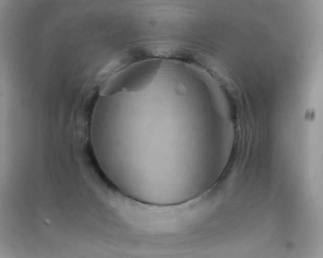 X0000091300031200708172217