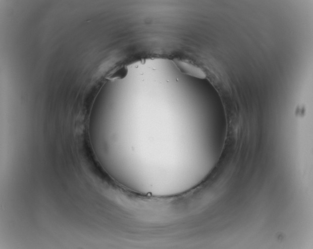 X0000091300032200708172217