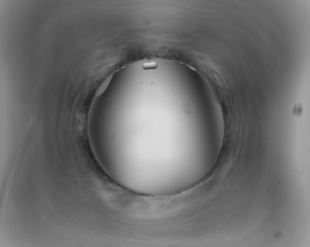 X0000091300033200708172217