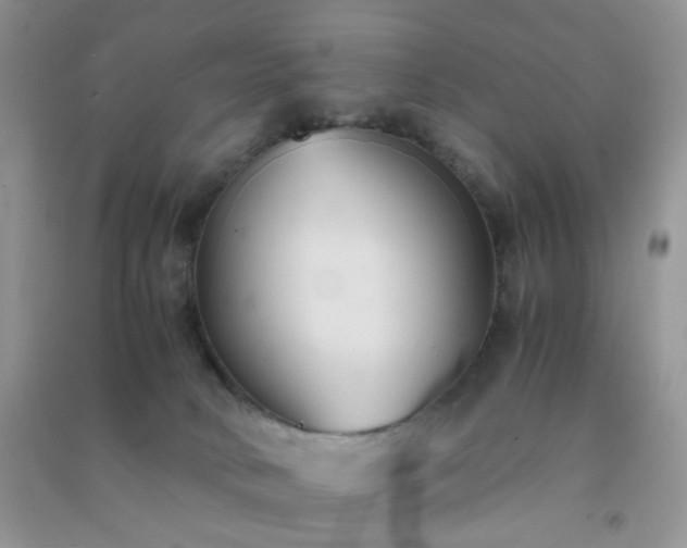 X0000091300034200708172217