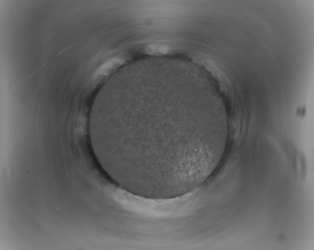 X0000091300035200708172217