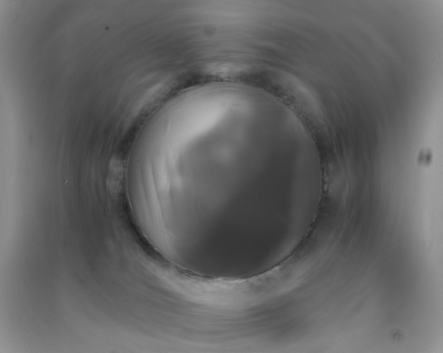 X0000091300036200708172217