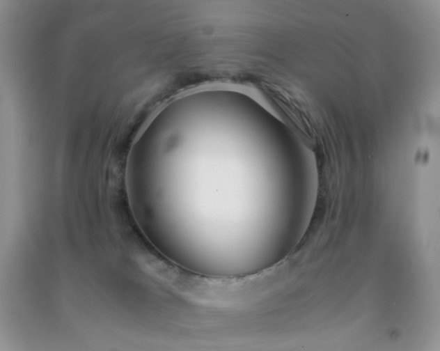 X0000091300037200708172217