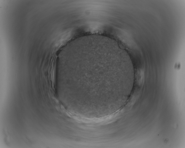 X0000091300039200708172217