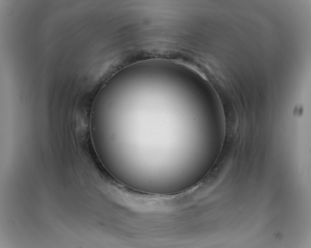 X0000091300040200708172217