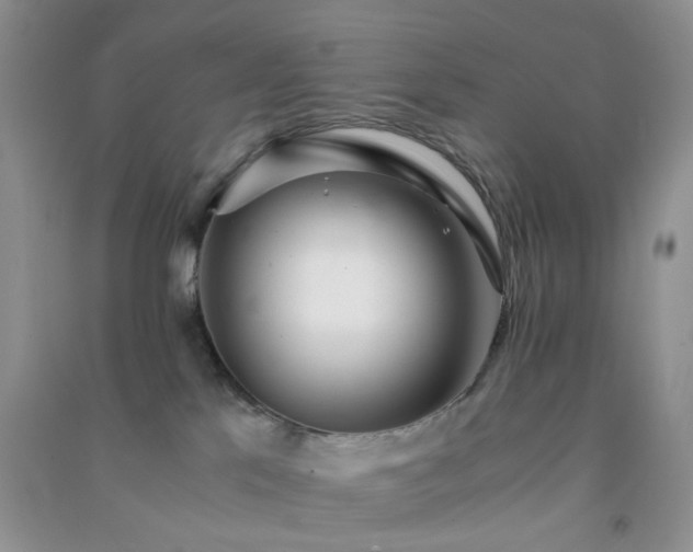 X0000091300041200708172217