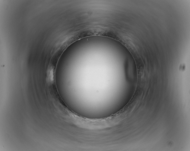 X0000091300042200708172217