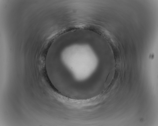 X0000091300043200708172217