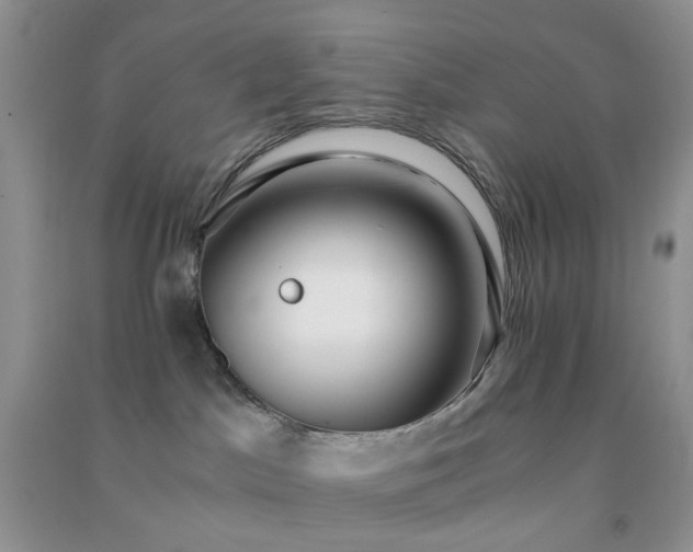 X0000091300045200708172217