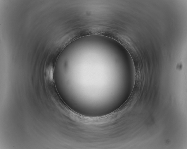 X0000091300046200708172217