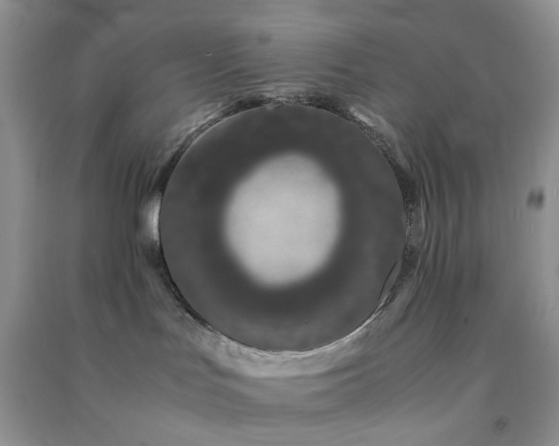 X0000091300047200708172217