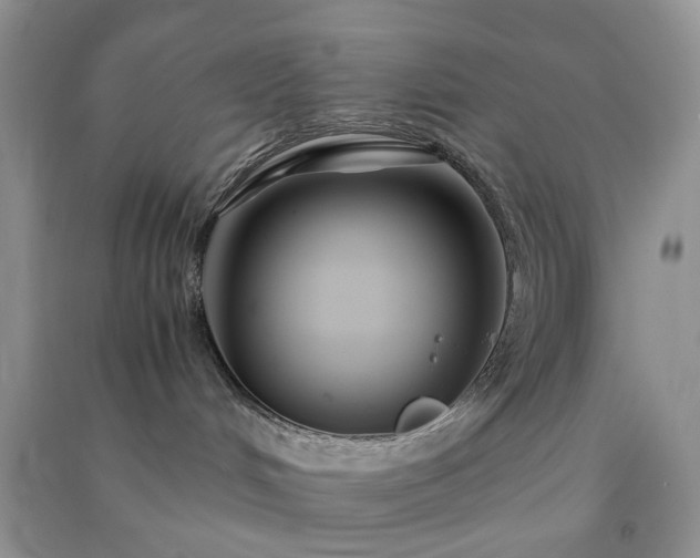 X0000091300048200708172217