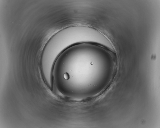 X0000091300049200708172217