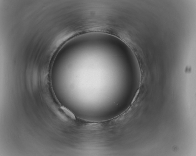 X0000091300050200708172217