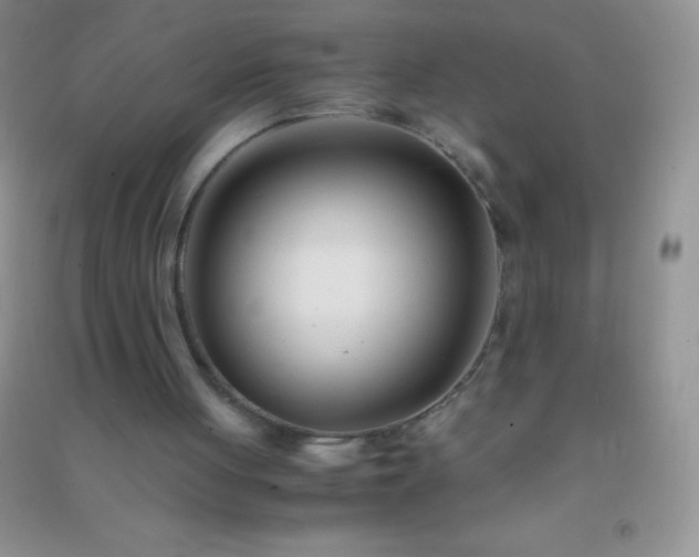 X0000091300051200708172217