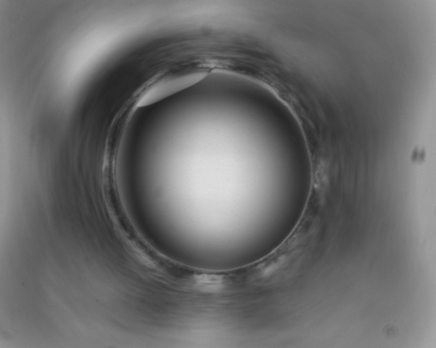 X0000091300052200708172217