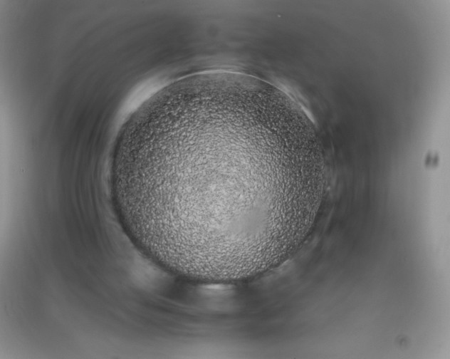 X0000091300053200708172217