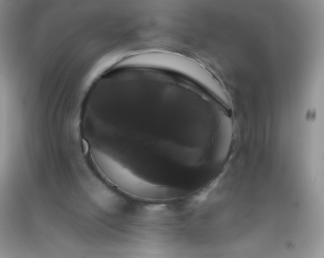 X0000091300054200708172217