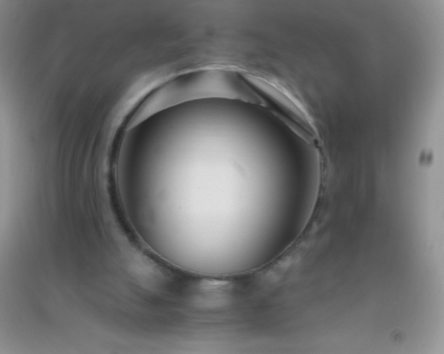 X0000091300055200708172217