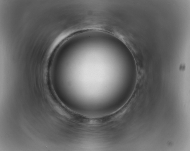 X0000091300056200708172217