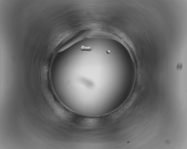 X0000091300057200708172217