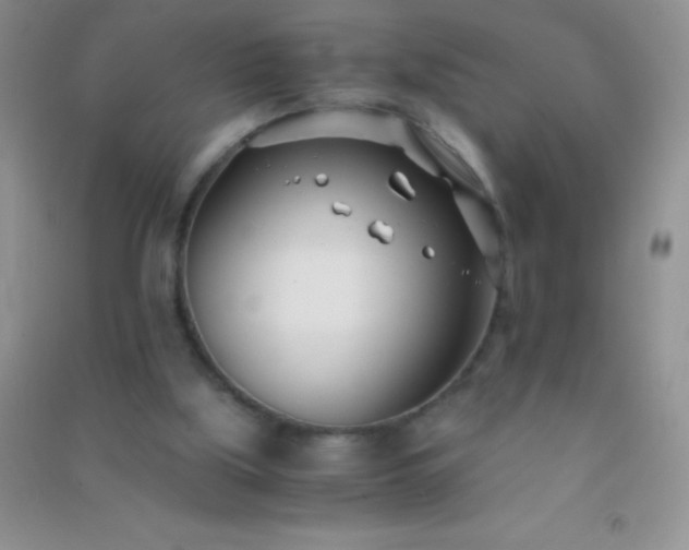 X0000091300059200708172217