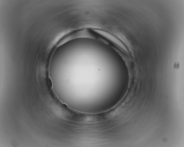 X0000091300060200708172217